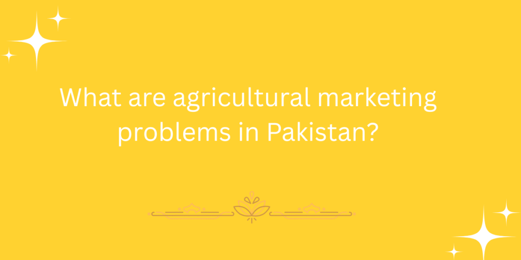 What are agricultural marketing problems in Pakistan?