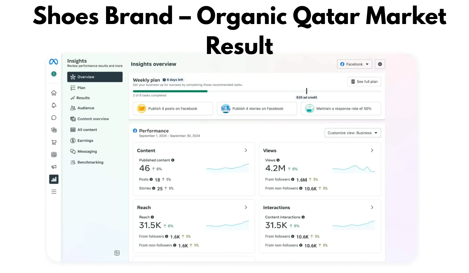 Shoes Brand Organic Qatar Market Result