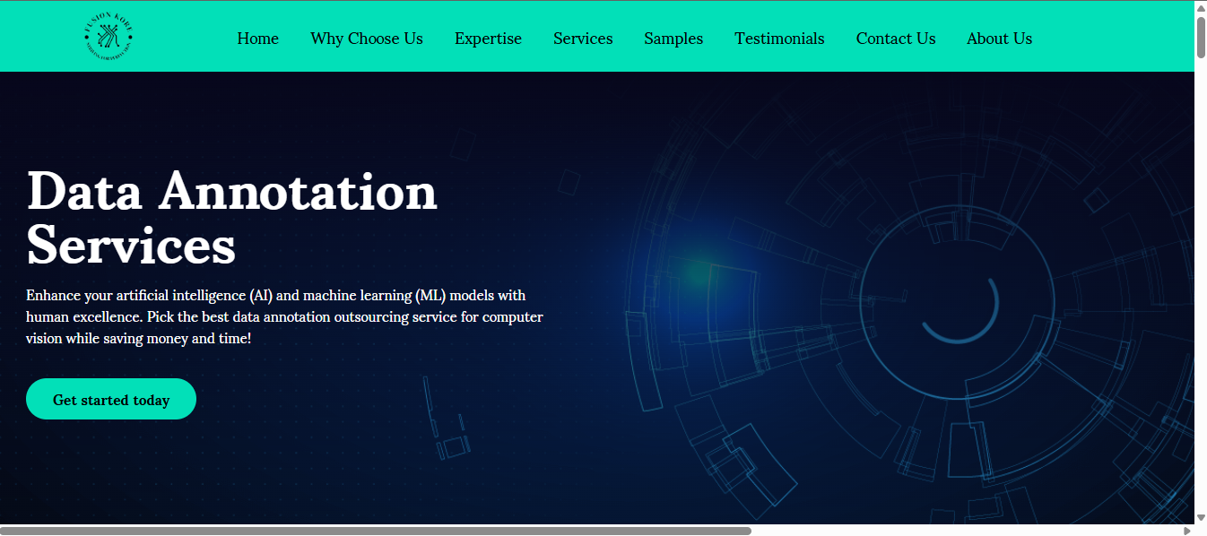 Data annotation services