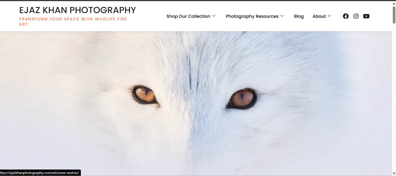 Ejaz khan photography website design by growistan